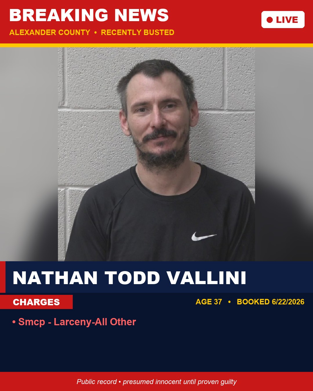 NATHAN TODD VALLINI booking photo
