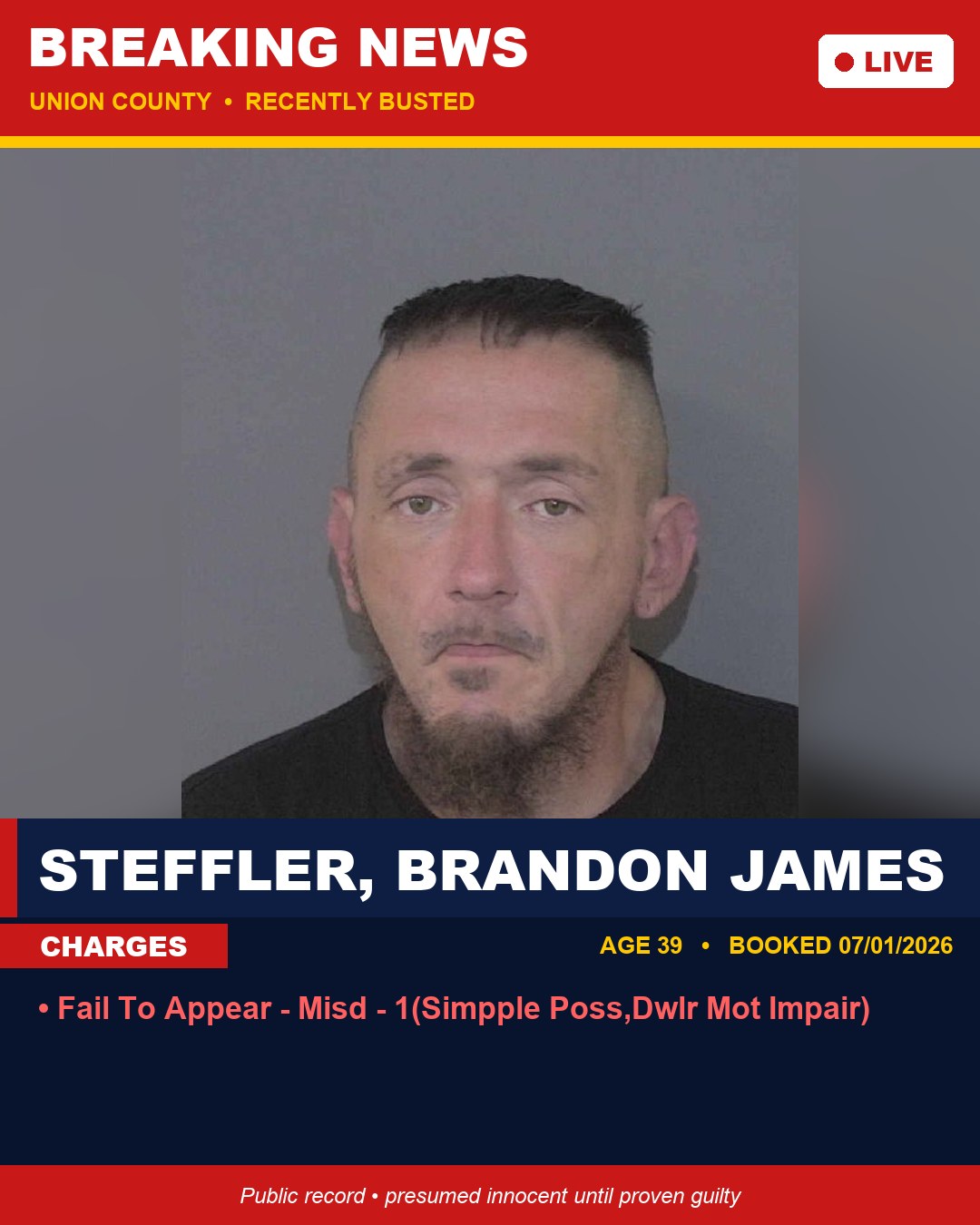 STEFFLER, BRANDON JAMES booking photo