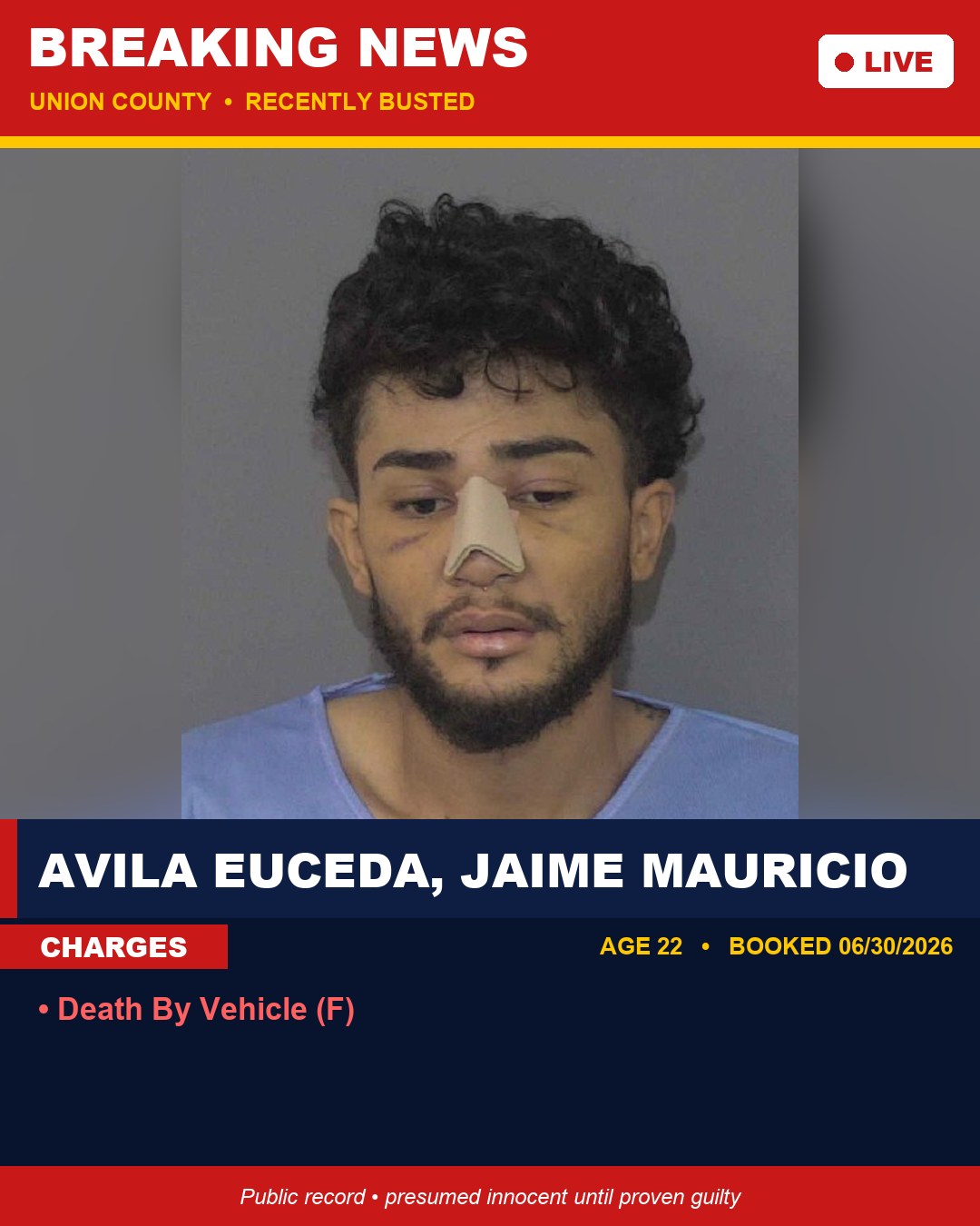 AVILA EUCEDA, JAIME MAURICIO booking photo